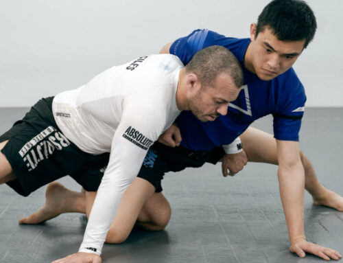 Half guard sweeps